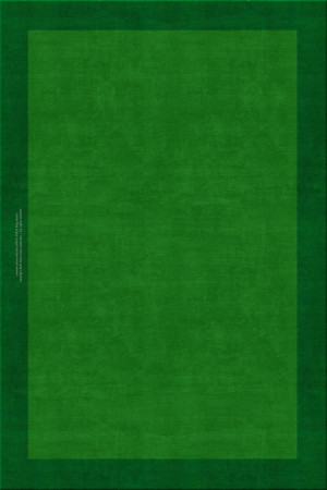 collectors edition 7376-5133 - handgefertigter Teppich,  tibetisch (Indien), 100 Knoten Qualität