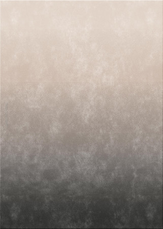 Anna-Veda 11968-gradient m6 - handgefertigter Teppich,  getuftet (Indien), 24x24 5ply Qualität