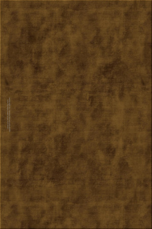 collectors edition 4201-8501 eagle eye- handgefertigter Teppich,  tibetisch (Indien), 100 Knoten Qualität