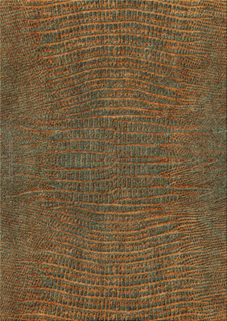 Noble Skin 9463-raptorio - handgefertigter Teppich,  tibetisch (Indien), 100 Knoten Qualität