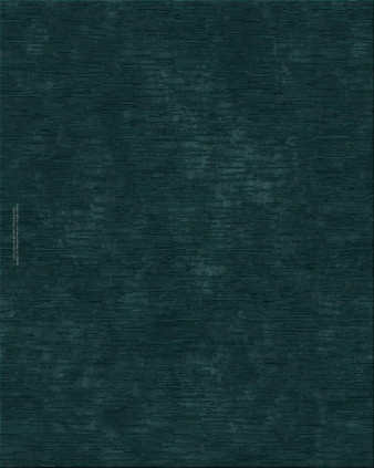 collectors edition 2074-ECM4912 - handgefertigter Teppich,  getuftet (Indien), 24x24 5ply Qualität