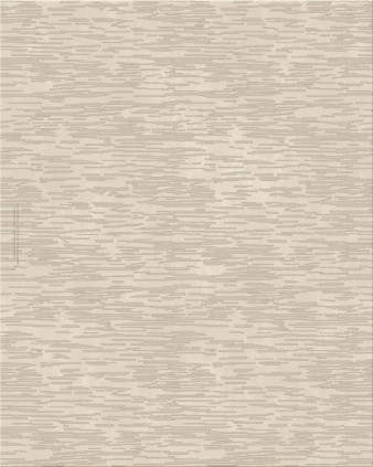 collectors edition 5118-ECM4912 - handgefertigter Teppich,  getuftet (Indien), 24x24 5ply Qualität